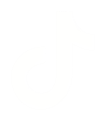 Tiktok Icon Image